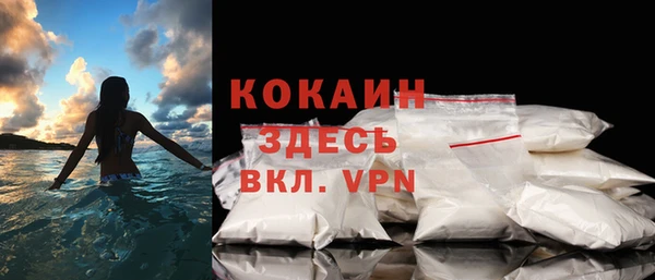 спайс Гусь-Хрустальный