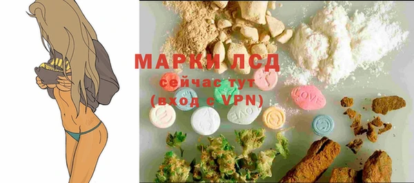 спайс Гусь-Хрустальный