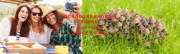 марки lsd Гусев