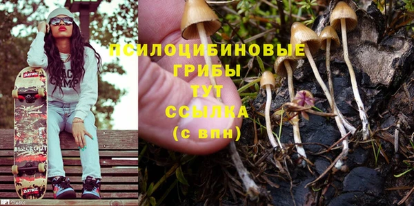 MESCALINE Гусиноозёрск